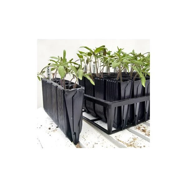 Kweektray Deep Roots - 40 Cellen 3 Kweektray Deep Roots - 40 Cellen