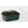 Kweektray Compact Rapid Root - 20 Cellen 1 Kweektray Compact Rapid Root - 20 Cellen -Tuindecoratie Winkel kweektray rapid root 20 cellen 1487670094 0 600