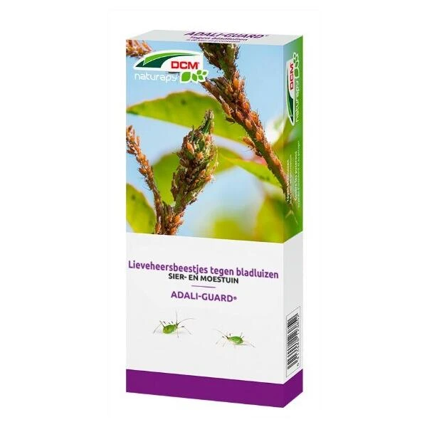 DCM Adali-Guard - Lieveheersbeestjes Tegen Bladluizen - 100 Larven 4 DCM Adali-Guard - Lieveheersbeestjes Tegen Bladluizen - 100 Larven - Afbeelding 2