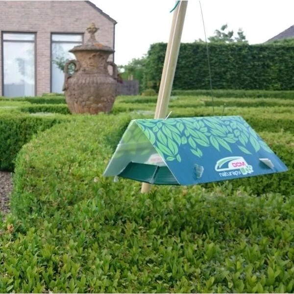 DCM Delta-Trap - Lijmval Voor Vangen En Monitoren Van Motten 5 DCM Delta-Trap - Lijmval Voor Vangen En Monitoren Van Motten - Afbeelding 3