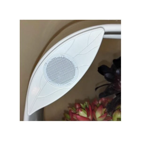 Mini Tuin Jardin Secret Met Ledverlichting En Bluetooth - Rechthoek 5 Mini Tuin Jardin Secret Met Ledverlichting En Bluetooth - Rechthoek - Afbeelding 3