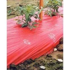 Rode Folie Voor Een Betere Plantengroei 9 Rode Folie Voor Een Betere Plantengroei -Tuindecoratie Winkel mulchfolie 1577621345 1 600