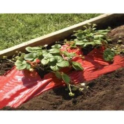 Rode Folie Voor Een Betere Plantengroei 10 Rode Folie Voor Een Betere Plantengroei -Tuindecoratie Winkel mulchfolie rood aardbeien en tomaten 1492072043 1 600