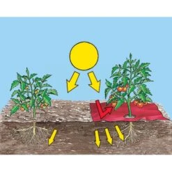 Rode Folie Voor Een Betere Plantengroei 8 Rode Folie Voor Een Betere Plantengroei -Tuindecoratie Winkel mulchfolie rood aardbeien en tomaten 1577620679 2 600