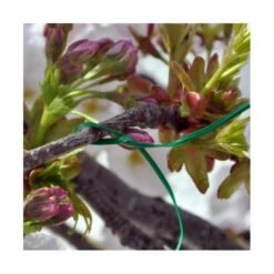 Multifunctionele Binders Geplastificeerde Metaal