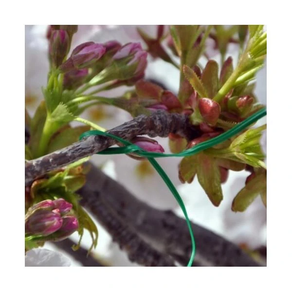 Multifunctionele Binders Geplastificeerde Metaal 3 Multifunctionele Binders Geplastificeerde Metaal