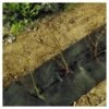 Hagenvlies - Onkruidbeschermvlies 25 × 0,5 M -Tuindecoratie Winkel onkruiddoek hagen 25 x 05 m 1484056542 1 600