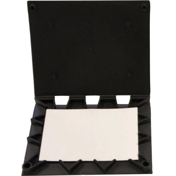 Pissebeddendoosje Met Lijmvel 3 Pissebeddendoosje Met Lijmvel