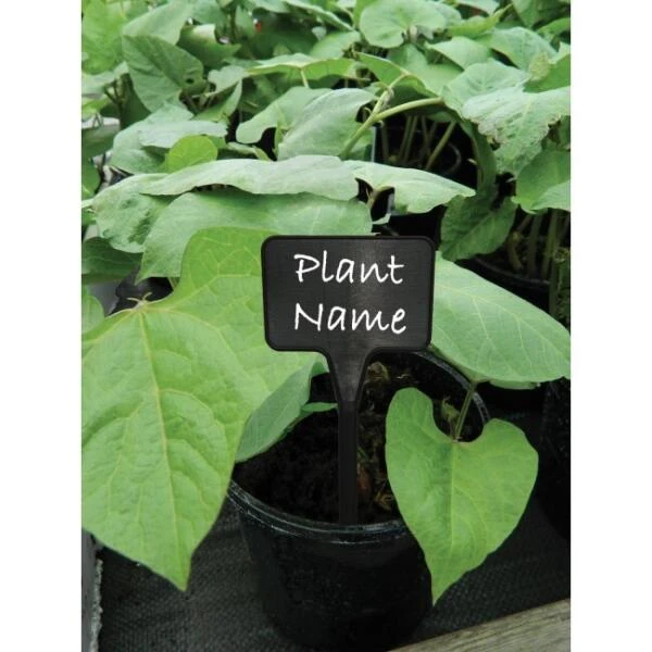 Plantenbordjes Zwart Kunststof - 14 Cm - Set Van 10 Stuks 4 Plantenbordjes Zwart Kunststof - 14 Cm - Set Van 10 Stuks - Afbeelding 2