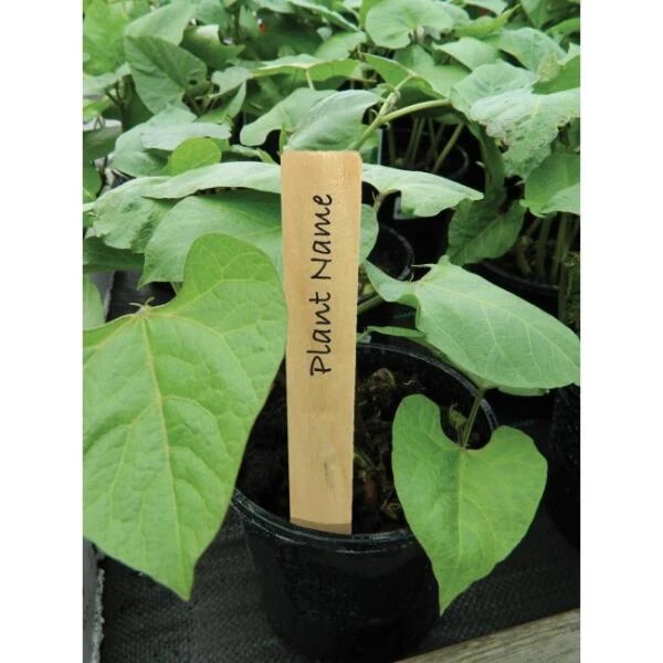 Plantenlabels Hout - 15 Cm - Set Van 10 Stuks 4 Plantenlabels Hout - 15 Cm - Set Van 10 Stuks - Afbeelding 2