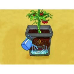 Plantentoren Maxitom Met Waterreservoir - Antraciet 10 Plantentoren Maxitom Met Waterreservoir - Antraciet -Tuindecoratie Winkel plantentoren maxitom antraciet 1677571235 3 600
