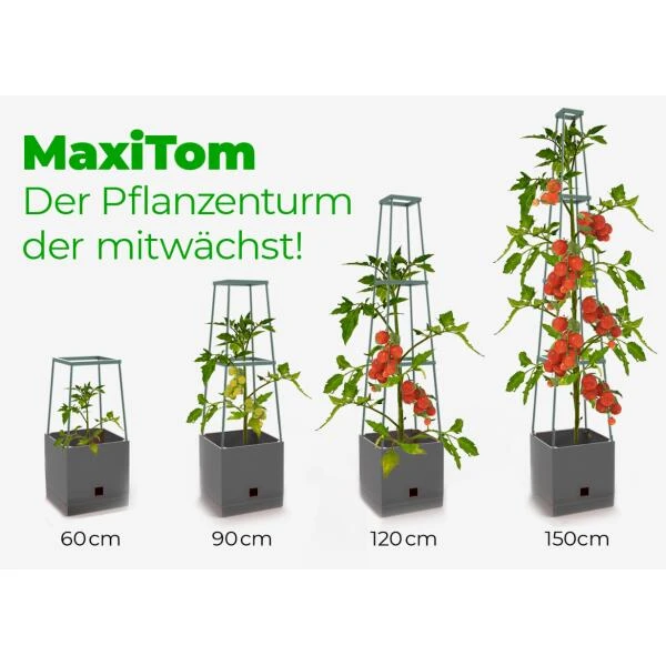 Plantentoren Maxitom Met Waterreservoir - Antraciet 6 Plantentoren Maxitom Met Waterreservoir - Antraciet - Afbeelding 4