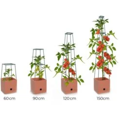 Plantentoren Maxitom Met Waterreservoir - Terracotta 13 Plantentoren Maxitom Met Waterreservoir - Terracotta -Tuindecoratie Winkel plantentoren maxitom terracotta 1680165024 1 600