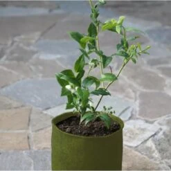 Plantzakken 5 Liter Vigoroot - Set Van 3 Stuks 5 Plantzakken 5 Liter Vigoroot - Set Van 3 Stuks -Tuindecoratie Winkel plantzakken 5 liter vigoroot 1487757667 0 600