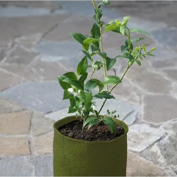 Plantzakken 5 Liter Vigoroot - Set Van 3 Stuks 4 Plantzakken 5 Liter Vigoroot - Set Van 3 Stuks - Afbeelding 2