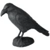 Raaf In Gietijzer -Tuindecoratie Winkel raaf in gietijzer 1537259078 1 600