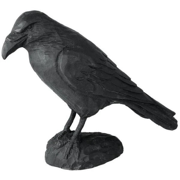 Raaf In Gietijzer 3 Raaf In Gietijzer