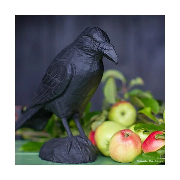 Raaf In Gietijzer 4 Raaf In Gietijzer - Afbeelding 2