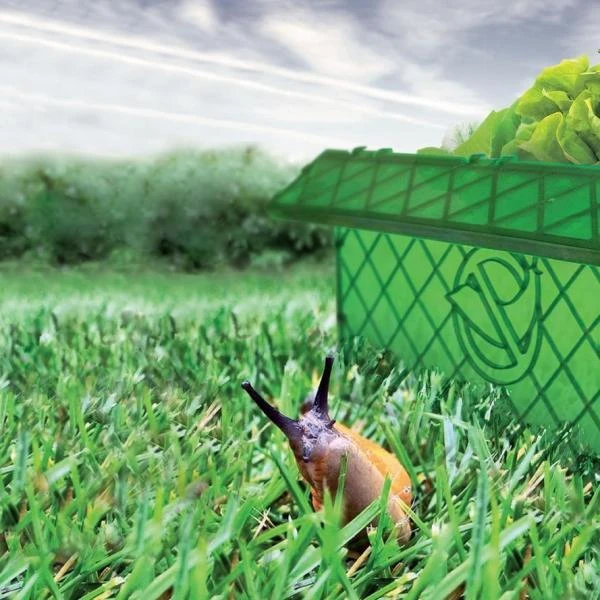 Slakkenweringsmuur 2 M + Slakkentang 3 Slakkenweringsmuur 2 M + Slakkentang