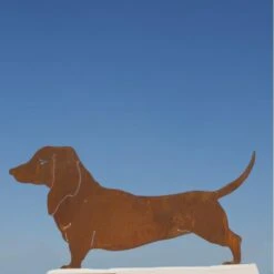 Teckel - Decoroest 9 Teckel - Decoroest -Tuindecoratie Winkel teckel decoroest 1519817926 3 600