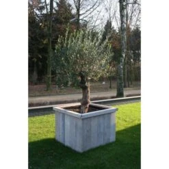 Thermobeschermhoes Jumbo Voor Planten - 240 × 200 Cm -Tuindecoratie Winkel thermovorsthoes 240 x 200cm 1484053216 3 600