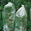 Tomatenhoezen 10 × 0,65 M 1 Tomatenhoezen 10 × 0,65 M -Tuindecoratie Winkel tomatenhoezen 10 x 065 m 1484053065 1 600