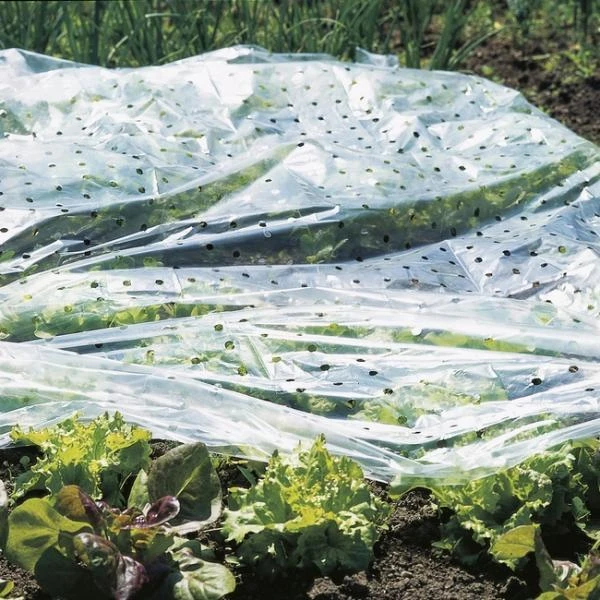 Tunnelfolie Geperforeerd - 1,5 × 10 M 3 Tunnelfolie Geperforeerd - 1,5 × 10 M