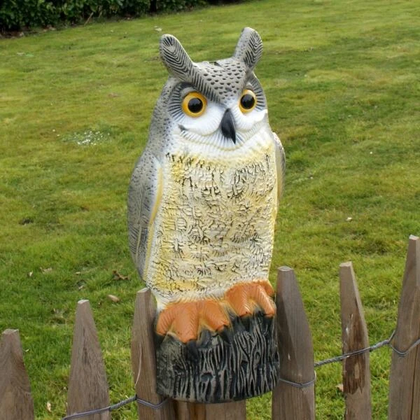 Uil Front - Vogelverschrikker 3 Uil Front - Vogelverschrikker