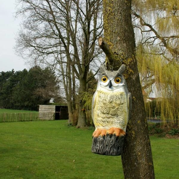 Uil Front - Vogelverschrikker 5 Uil Front - Vogelverschrikker - Afbeelding 3