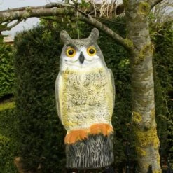 Uil Front - Vogelverschrikker 10 Uil Front - Vogelverschrikker -Tuindecoratie Winkel uil front vogelverschrikker 1523282297 2 600