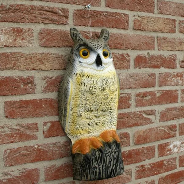 Uil Front - Vogelverschrikker 7 Uil Front - Vogelverschrikker - Afbeelding 5