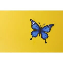 Vlinder Muurdecoratie - Metaal 30 × 25 Cm 11 Vlinder Muurdecoratie - Metaal 30 × 25 Cm -Tuindecoratie Winkel vlinder metaal 30 x 25 cm 1621335409 1 600