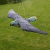 Torenvalk Als Vogelschrik -Tuindecoratie Winkel vogelverjager torenvalk 1484053531 1 600