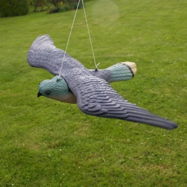 Torenvalk Als Vogelschrik 3 Torenvalk Als Vogelschrik