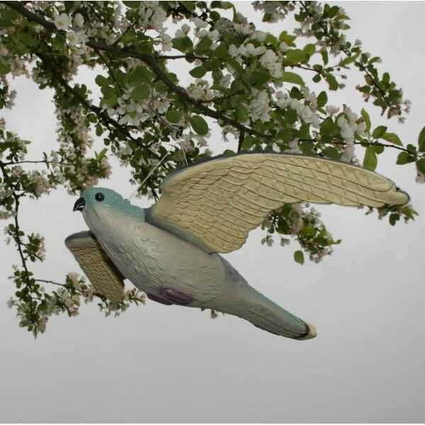 Torenvalk Als Vogelschrik 4 Torenvalk Als Vogelschrik - Afbeelding 2
