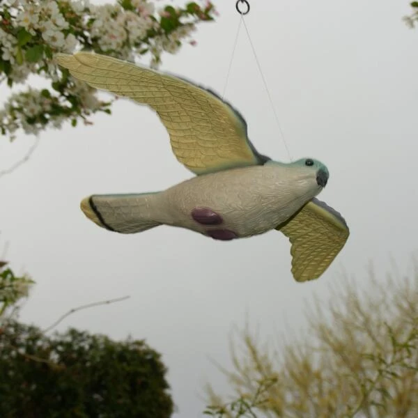 Torenvalk Als Vogelschrik 5 Torenvalk Als Vogelschrik - Afbeelding 3