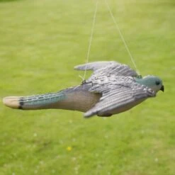Torenvalk Als Vogelschrik 9 Torenvalk Als Vogelschrik -Tuindecoratie Winkel vogelverjager torenvalk 1492582163 3 600