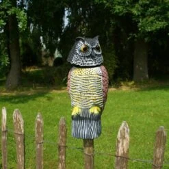 Roterende Uil Gele Borst - Vogelverschrikker