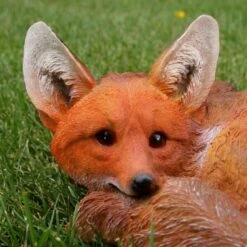 Vos Liggend 7 Vos Liggend -Tuindecoratie Winkel vos liggend 1569416943 2 600