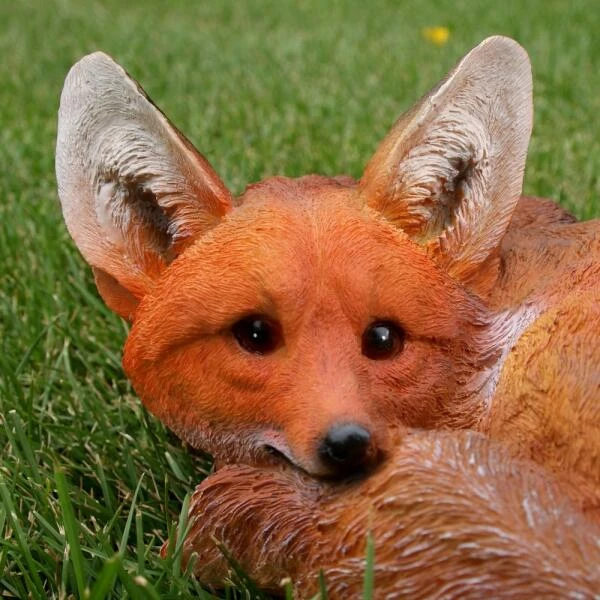 Vos Liggend 5 Vos Liggend - Afbeelding 3