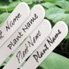 Waterbestendige Stift Zwart Voor Plantenlabels 1 Waterbestendige Stift Zwart Voor Plantenlabels -Tuindecoratie Winkel waterbestendige stift zwart 1484062288 2 600