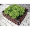 Wilgentenen Plantenbed - 60 × 60 × 20 Cm 2 Wilgentenen Plantenbed - 60 × 60 × 20 Cm -Tuindecoratie Winkel wilgentenen plantenbed large 1484056225 1 600