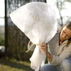 Vorsthoes Rozen - 80 × 75 Cm - Set Van 2 Stuks 8 Vorsthoes Rozen - 80 × 75 Cm - Set Van 2 Stuks -Tuindecoratie Winkel wintervlies rozen 1486656722 0 600